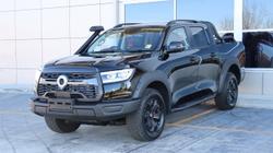2024 GWM Ute