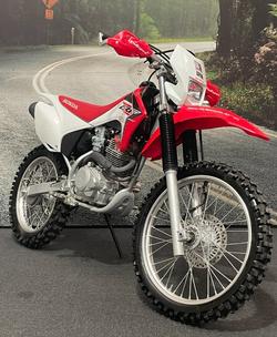 2019 Honda CRF230F White
