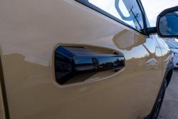 2025 LDV Terron 9 Origin