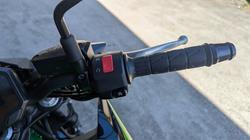 2022 Kawasaki Z650L (LAMS) Green