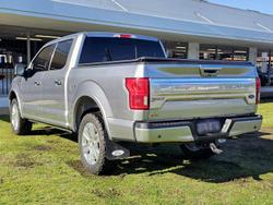 2020 Ford F-150 Platinum (No Series) Silver