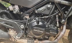 2023 Harley-Davidson X 500 X Black