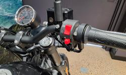 2023 Harley-Davidson X 500 X Black