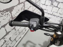 2025 Triumph Scrambler 400 X Scrambler Green