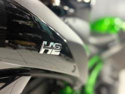 2021 Kawasaki Z H2 (ZR1000K) Green
