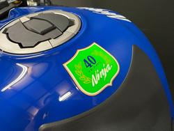2024 Kawasaki NINJA ZX-10R Green