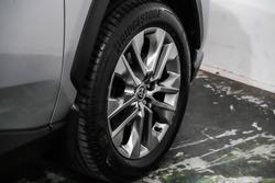 2024 Toyota
                RAV4 Cruiser