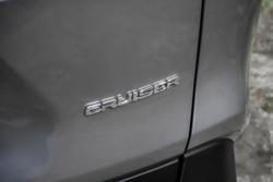 2024 Toyota
                RAV4 Cruiser