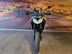 2025 Triumph Tiger 900 GT Pro Tiger Black
