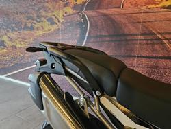 2025 Triumph Tiger 900 GT Pro Tiger Black