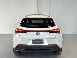 2023 Lexus UX 250h F Sport MZAH15R AWD White Nova