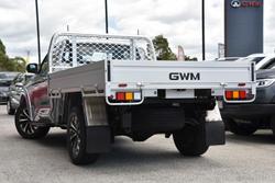 2025 GWM Cannon Premium