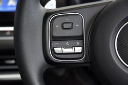 2025 GWM Cannon Premium