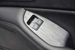 2025 GWM Cannon Premium