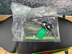 2024 Kawasaki NINJA 650L KRT GREEN