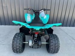 2025 Yamaha Raptor 110 (YFM110R) Raptor