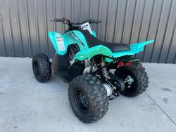 2025 Yamaha Raptor 110 (YFM110R) Raptor