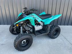 2025 Yamaha Raptor 110 (YFM110R) Raptor
