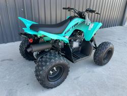 2025 Yamaha Raptor 110 (YFM110R) Raptor