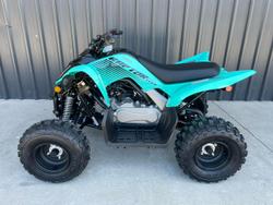 2025 Yamaha Raptor 110 (YFM110R) Raptor