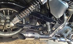 2015 Harley-Davidson Iron 883 (XL883N) Sportster Black