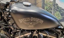 2015 Harley-Davidson Iron 883 (XL883N) Sportster Black