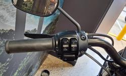 2015 Harley-Davidson Iron 883 (XL883N) Sportster Black
