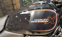 2024 Harley-Davidson X 500 X Black