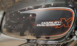 2024 Harley-Davidson X 500 X Black