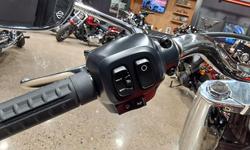 2025 Harley-Davidson Fat Boy 117 (FLFB) Softail