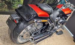 2025 Harley-Davidson Fat Boy 117 (FLFB) Softail