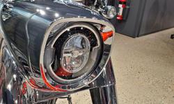 2025 Harley-Davidson Fat Boy 117 (FLFB) Softail