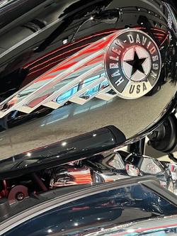 2025 Harley-Davidson Fat Boy 117 (FLFB) Softail Black