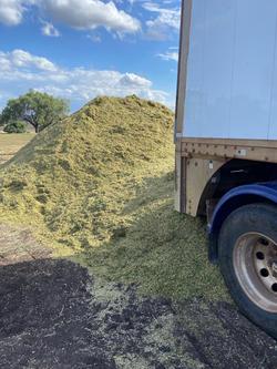 2022 Lusty Pumpa Belt Walking Floor