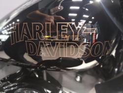 2024 Harley-Davidson Low Rider ST 117 (FXLRST) Softail Black