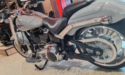2025 Harley-Davidson Fat Boy 117 (FLFB) Softail