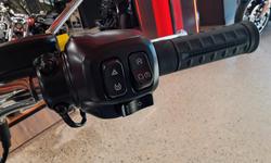 2025 Harley-Davidson Fat Boy 117 (FLFB) Softail