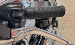 2025 Harley-Davidson Fat Boy 117 (FLFB) Softail