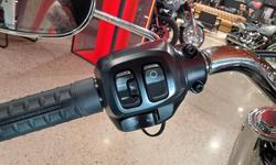 2025 Harley-Davidson Fat Boy 117 (FLFB) Softail