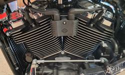 2025 Harley-Davidson Fat Boy 117 (FLFB) Softail