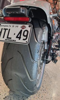 2025 Harley-Davidson Fat Boy 117 (FLFB) Softail