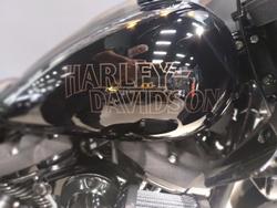 2024 Harley-Davidson Low Rider ST 117 (FXLRST) Softail Black