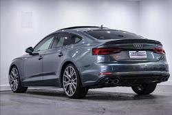 2019 Audi S5 F5 MY19 Four Wheel Drive