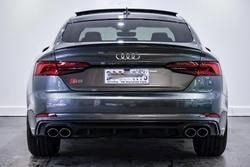 2019 Audi S5 F5 MY19 Four Wheel Drive