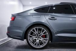 2019 Audi S5 F5 MY19 Four Wheel Drive
