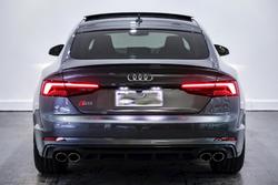 2019 Audi S5 F5 MY19 Four Wheel Drive
