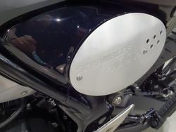 2025 Triumph Scrambler 400 X Scrambler Green
