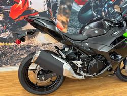 2025 Kawasaki NINJA 500 GREY