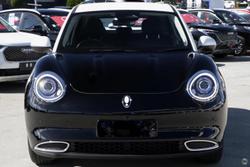 2025 GWM Ora Extended Range