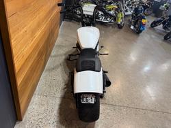 2009 Harley-davidson VRSCF MUSCLE White